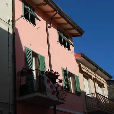 Burlamacco Gold-3